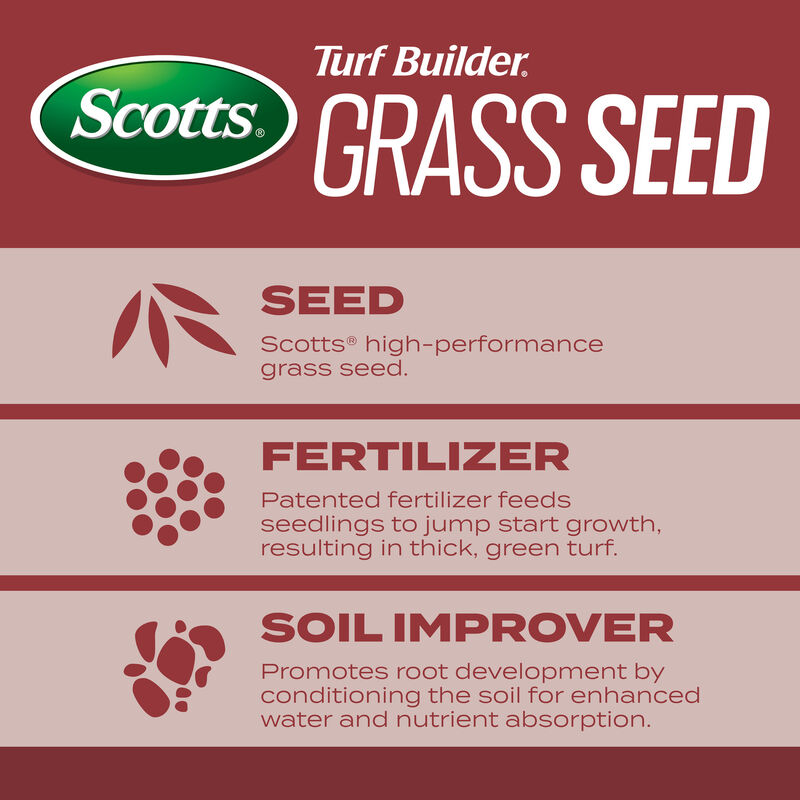 Scotts&reg; Turf Builder&reg; Grass Seed Sunny Mix image number null